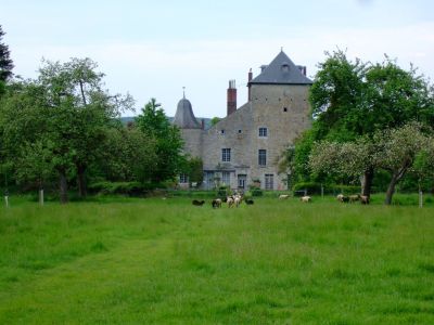 Click to view full size image